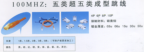 100MHZ：五类超五类成型跳线